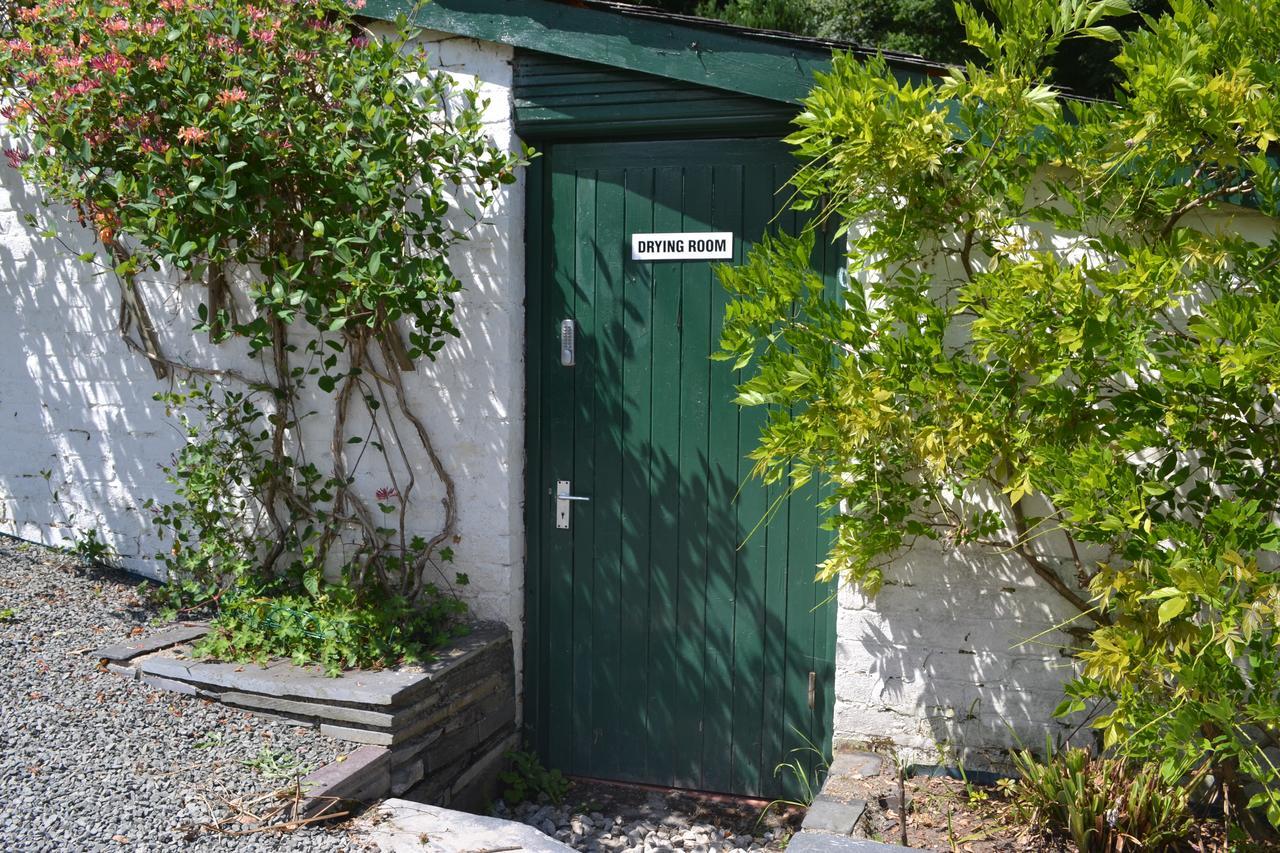 ベトウス・ア・コーエド Coed-Y-Fron Bed & Breakfast エクステリア 写真