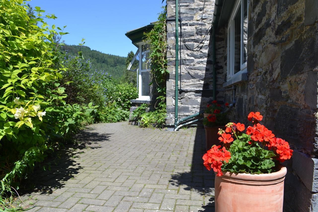 ベトウス・ア・コーエド Coed-Y-Fron Bed & Breakfast エクステリア 写真